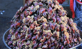 Về Cà Mau nếm thử đặc sản mắm ba khía