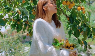 Bỏ túi 3 vườn hồng Đà Lạt được du khách vô cùng ưa thích