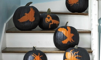 15 ý tưởng 'trang điểm' bí ngô để trang trí nhà độc lạ cho mùa Halloween