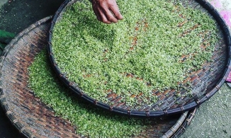 Cốm Tú Lệ , thức quà gây thương nhớ khi thu về của Tây Bắc