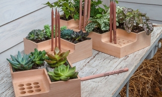 Độc đáo chiếc khay cắm bút kết hợp chậu cây xinh xắn