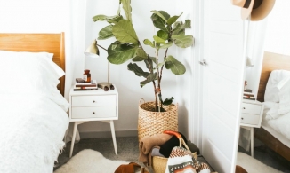 11 ý tưởng sử dụng chiếc giỏ cói để lưu trữ và trang trí nhà hiệu quả