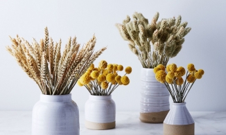4 mẹo đơn giản làm khô hoa tươi để trang trí nhà đẹp suốt bốn mùa