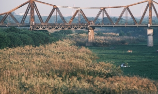 Cần gì đi xa xôi khi ngay gần Hồ Gươm có cánh đồng cỏ lau “đẹp như tranh” 