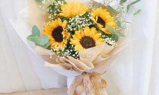 Những loài hoa ý nghĩa nhất để tặng thầy cô  thay lời tri ân ngày 20/11