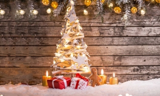 Cách làm cây thông Noel bằng củi khô đẹp mà chất lừ chi phí chỉ từ 100 ngàn