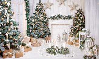 Mãn nhãn với 15 ý tưởng trang trí cây thông Noel đảm bảo 'không đụng hàng'