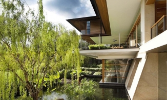 Ngôi nhà trở thành tâm điểm của cả khu phố bởi nhìn đâu cũng thấy cây xanh