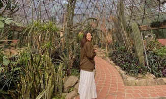 5 điểm du lịch Tết dương lịch, cùng lắm chỉ ngủ 1 đêm tàu là đến nơi