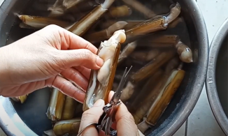 Bí quyết làm sạch cát của ốc móng tay để ăn không bị sạn