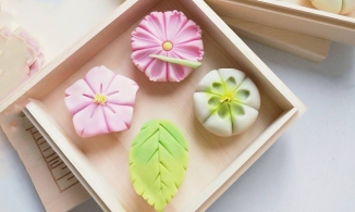 Wagashi, loại bánh mỗi chiếc đều là một tác phẩm nghệ thuật của Nhật Bản