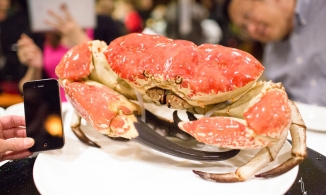 Cua Tasmania - loại cua giá ngang xe tay ga dành cho giới nhà giàu