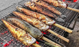 3 địa chỉ bán cá lóc nướng ngon để cúng ông Công ông Táo tại Sài Gòn