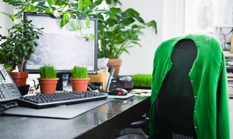 7 cây cảnh đẹp, dễ chăm giúp giảm tác động bức xạ máy tính hiệu quả