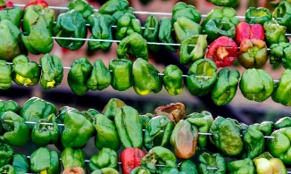 Vòng quanh thế giới khám phá độ cay của các loại ớt nổi tiếng