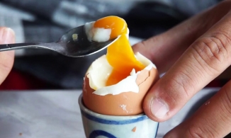 8 công thức chế biến trứng thông thường mà ngon khó chối từ trên thế giới