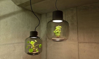 Mygdal Plantlights, mẫu đèn thả trần kiêm chậu cây có giá trăm triệu