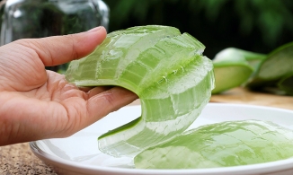 Cách sơ chế lô hội nấu chè giải nhiệt đảm bảo giòn, để lâu mà không nhớt