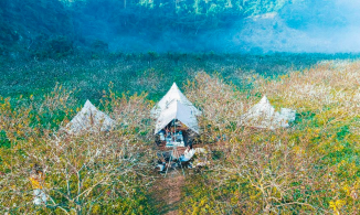 3 điểm cắm trại 'xinh và mộng mơ' bậc nhất để dành hết dịch mình cùng đi