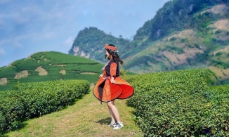 Kinh nghiệm du lịch Mộc Châu 3 ngày 2 đêm từ A đến Z chỉ 2 triệu đồng