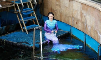 Trương Bá Chi hóa tiên cá, khoe dáng thon thả ở tuổi 41