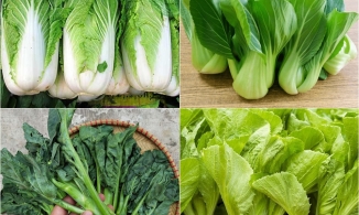 Cách phân biệt 11 loại rau cải Việt Nam phổ biến để tự tin ra mắt mẹ chồng