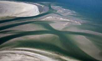 Biển Wadden, bãi biển 1 ngày biến mất 2 lần được Google Doodle tôn vinh?