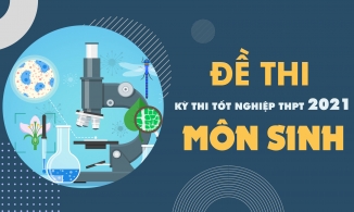 Đề thi môn Sinh học THPT Quốc gia 2021 - Tất cả các mã đề thi môn Sinh học