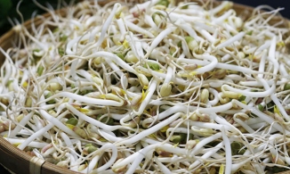 4 cách bảo quản giá đỗ để cả tuần vẫn tươi ngon, không bị thâm