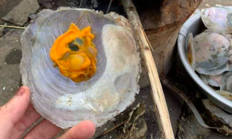 Cháo điệp đỏ, món ngon dân dã của vùng đất hoa vàng, cỏ xanh Phú Yên