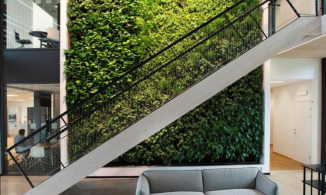 Những 'khu vườn thẳng đứng' tuyệt đẹp cho tường nhà thêm xanh và sống động