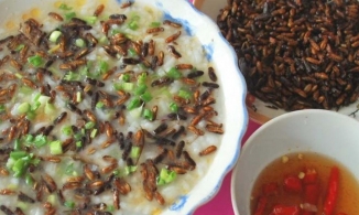 Món cháo mối độc đáo từ mối cánh được ví như 'tôm bay' của người Cơ Tu