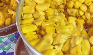 Mít hông Tam Kỳ - món ăn vặt từ mít vừa lạ vừa quen chỉ có ở Tam Kỳ