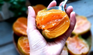 Hồng da tre có gì đặc biệt mà được người sành ăn săn đón, đắt vẫn tìm mua?