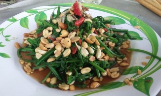 Lên Lai Châu thưởng thức đặc sản rau dớn ngon quên lối về