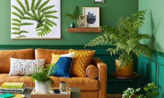 Phong cách Organic: Xu hướng thiết kế nội thất cho thời đại mới