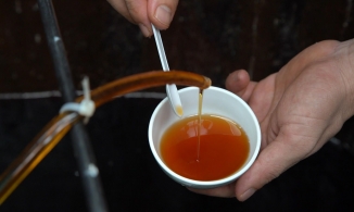 Cách làm nước mắm tại gia ngon chuẩn vị Phú Quốc mà không lo hóa chất