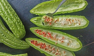 6 mẹo làm giảm vị đắng khổ qua chỉ trong vòng 1 nốt nhạc