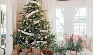 15 ý tưởng trang trí cây thông Noel từ đơn giản đến lộng lẫy để đón Giáng sinh