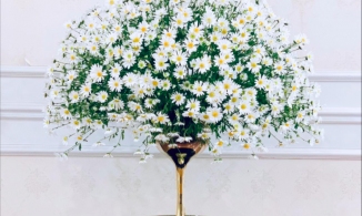 Mẹ Việt hướng dẫn cách cắm hoa cúc họa mi 10 ngày vẫn tươi đẹp mà không cần dùng xốp