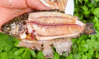 Mẹo sơ chế và gỡ xương cá rô đồng nhanh, hết sạch xương dăm
