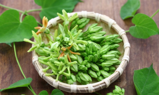 6 loài hoa nhìn thì đẹp mà lại nấu được nhiều món ăn ngon của Việt Nam