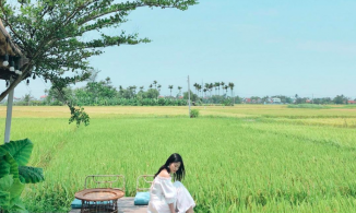 3 quán cà phê Hội An có view đồng lúa thơ mộng làm mới chuyến du lịch Hội An quen thuộc