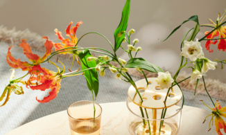 Bình hoa Ikebana: Vụng về đến mấy vẫn có thể cắm hoa đẹp như nghệ nhân