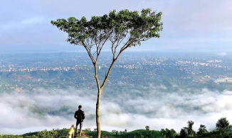 Núi Đại Bình, điểm trekking mới nổi dành cho người mê săn mây, sống chậm