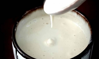 Cách làm sữa đặc thuần chay không đường từ táo và cốt dừa thơm, ngậy, ngọt êm