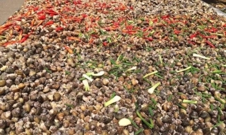 Lía phơi, món đặc sản lạ mà quen, không dành cho người yếu bụng ở An Giang