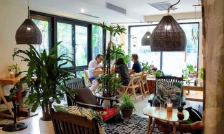 4 nhà hàng chay kiểu Âu ngon nhất Hà Nội, giá bình dân, không gian lịch sự