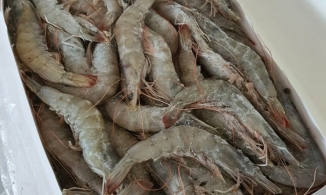 4 sai lầm khi chế biến tôm khiến tôm mất ngon, nhiều người mắc phải số 4