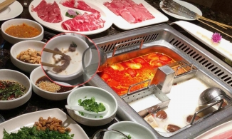 Haidilao bị khách tố “gọi 2 đĩa thịt dê mà nhận lại 1 nồi nước súp” sau khoảng 5 phút nhúng